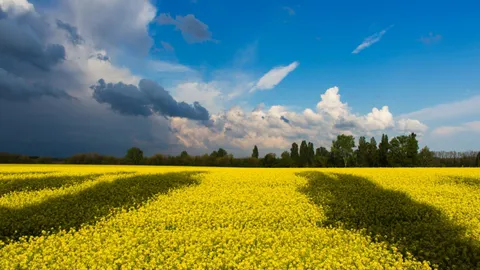 Comment transformer ce contexte de crise en opportunités pour votre entreprise